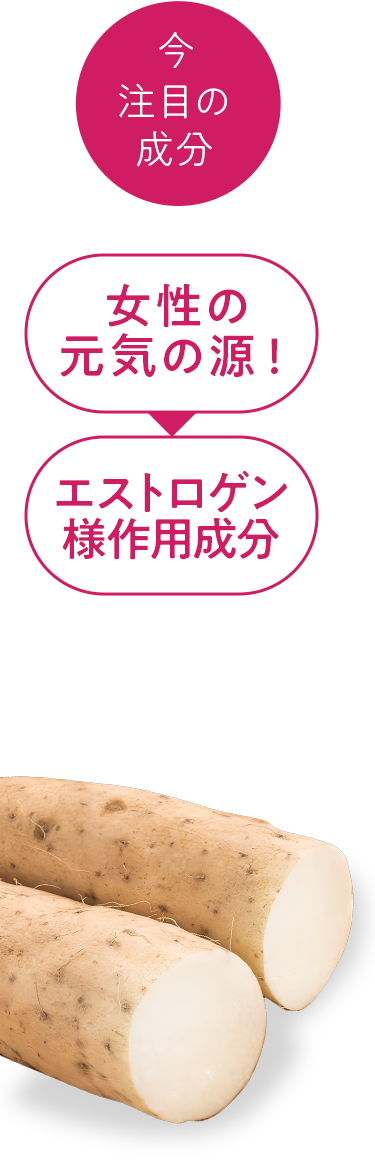 エストロゲン様作用成分のジオスゲニン。