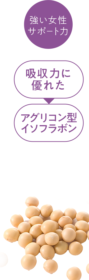 アグリコン型イソフラボン。ダイゼインとゲニステイン。