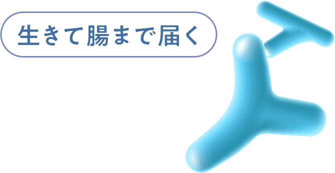 生きて腸まで届く有胞子性乳酸菌
