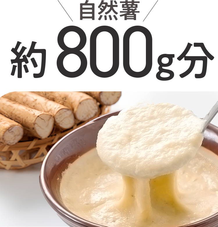 自然薯約800g分