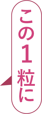 この一粒に