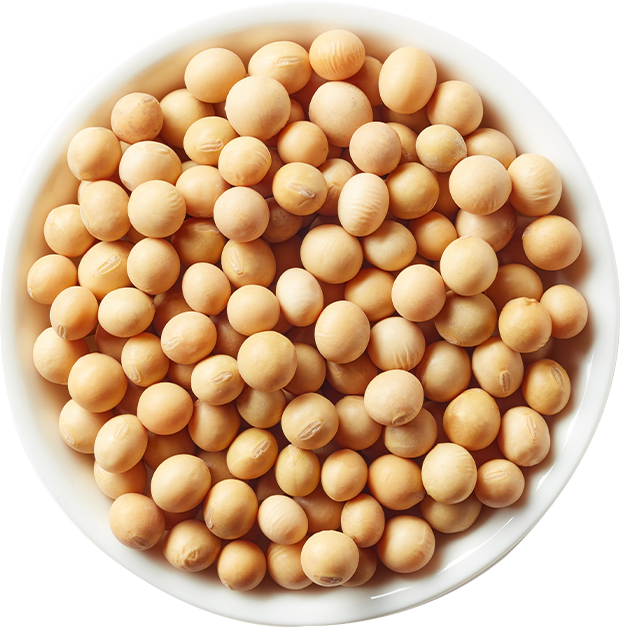 大豆イソフラボン