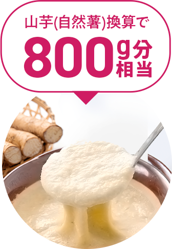 山芋由来ジオスゲニン18mg、山芋自然薯換算で800g分相当