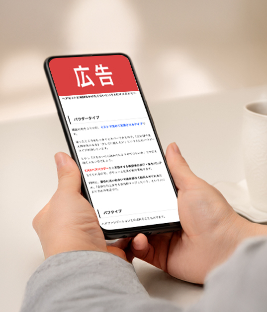 ネット広告の健全化に向けた取り組みについて